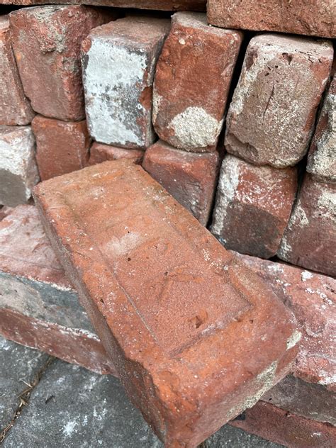 Old bricks - I reused some old bricks salvaged from other areas of the backyard to build a pathway that connects the barn door and side door. No more stepping through dir...